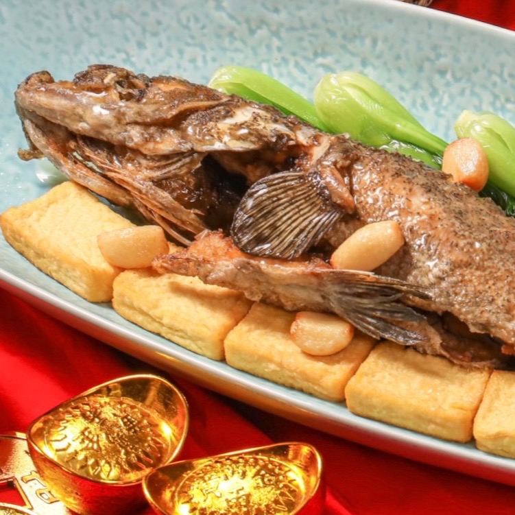 蒜子燒龍虎斑Braised Deep-fried Garoupa with Garlic and Bean Curd