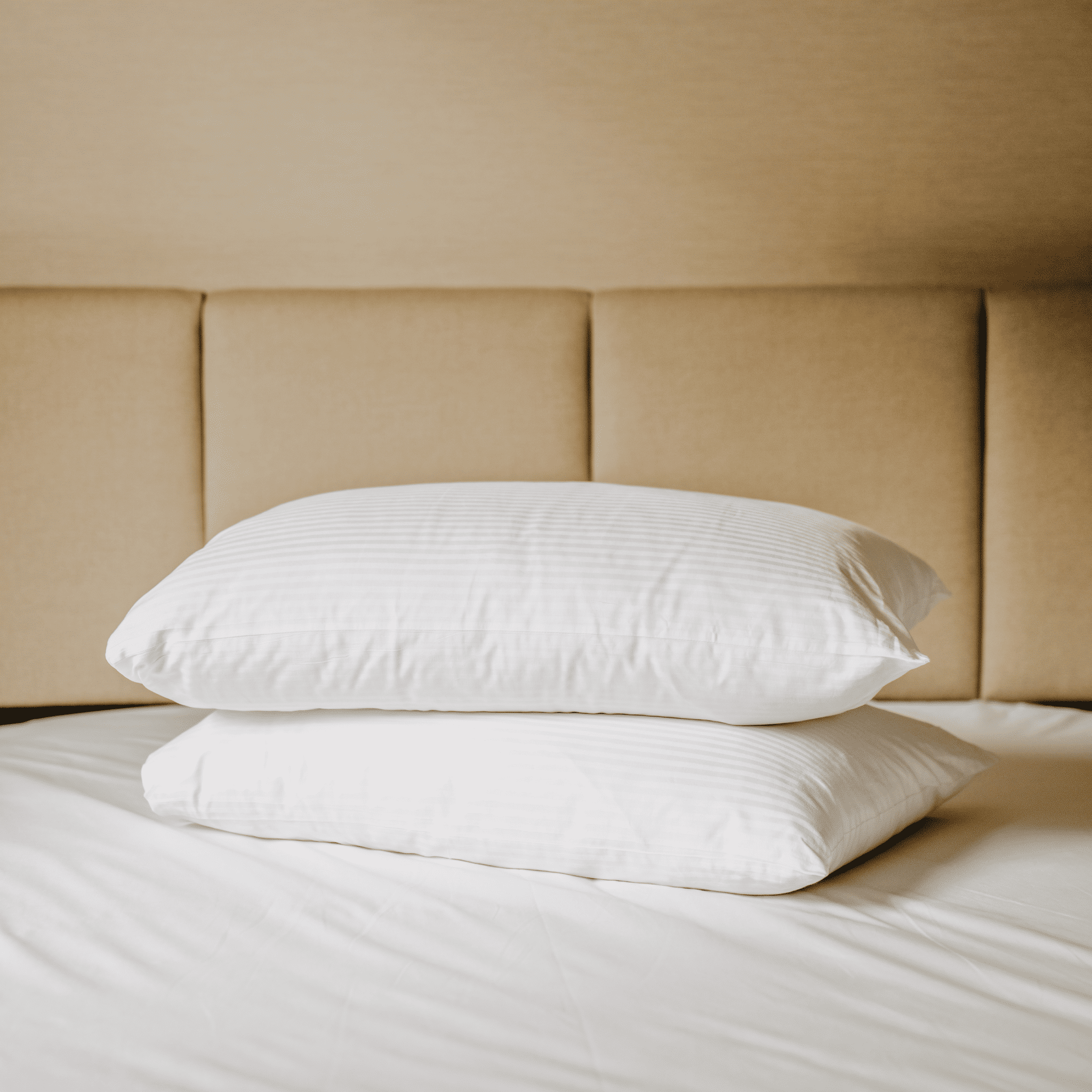 行館客房【茶葉枕】