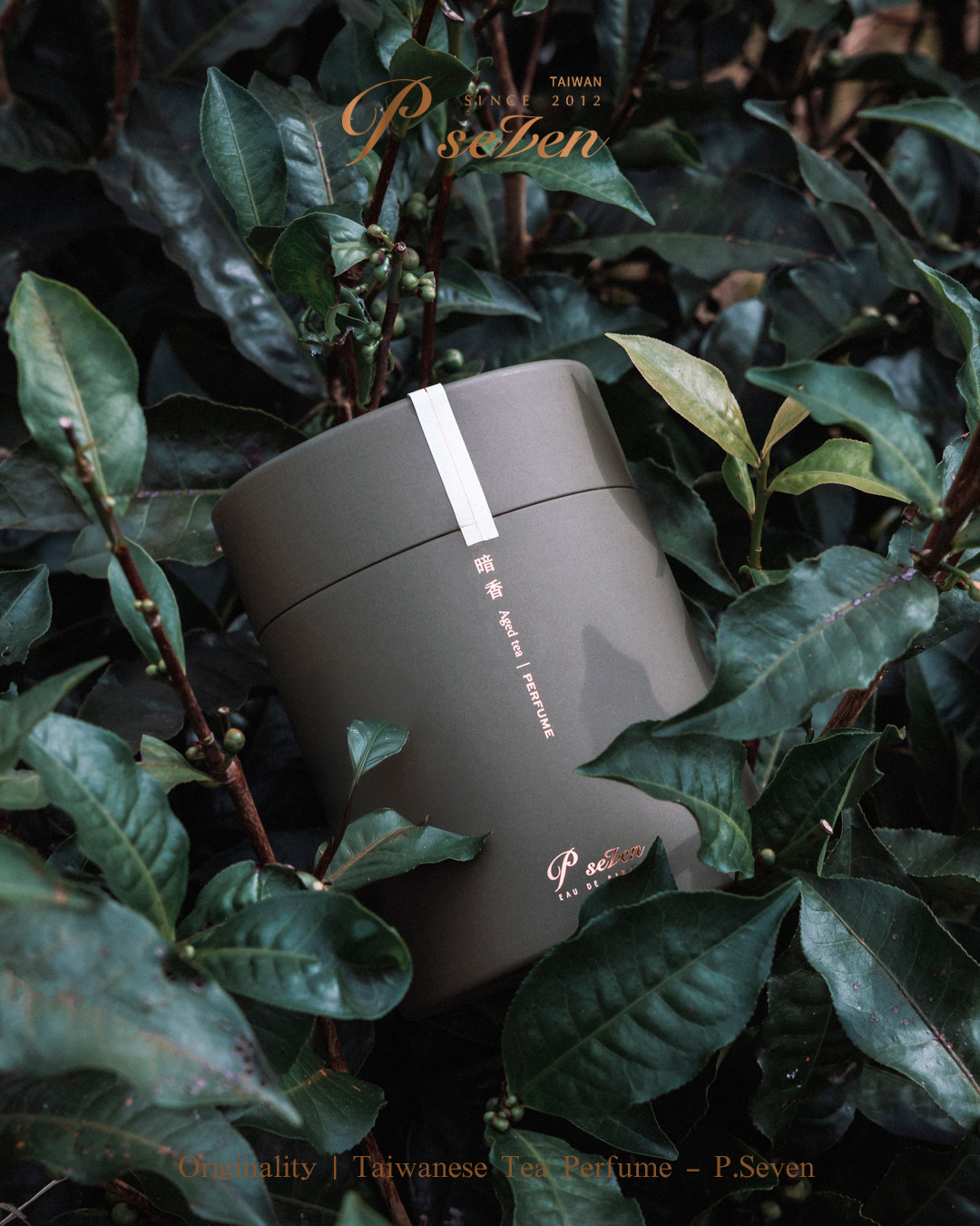 太魯閣晶英酒店- P.Seven 茶香水｜《Aged Tea 暗香》(66ml 噴瓶)